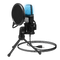 Condenser Microphone.